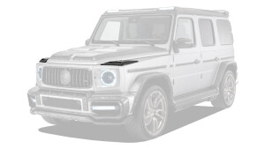 Covers for turn signals with LEDs
