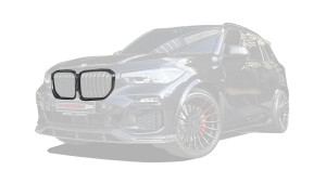 Grille trim