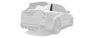 Rear fender inserts