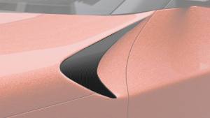 Front fender inserts