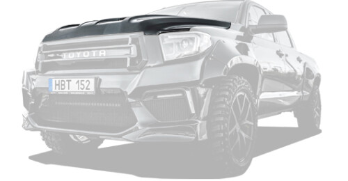 Hood for Toyota Tundra