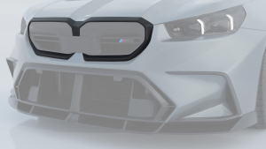 Grille trim