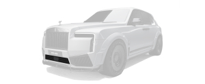 Lower grille