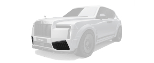 Front bumper air intake inserts