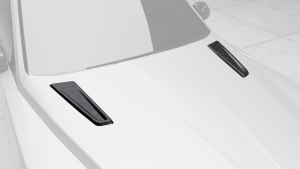 Hood inserts