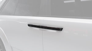 Door handle inserts