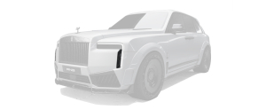 Front bumper inserts
